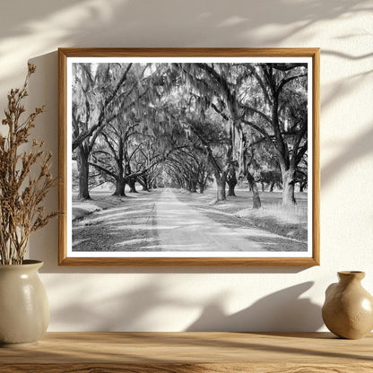 Historic Building in Sheldon, SC - 1820 Photo