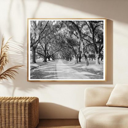 Historic Building in Sheldon, SC - 1820 Photo