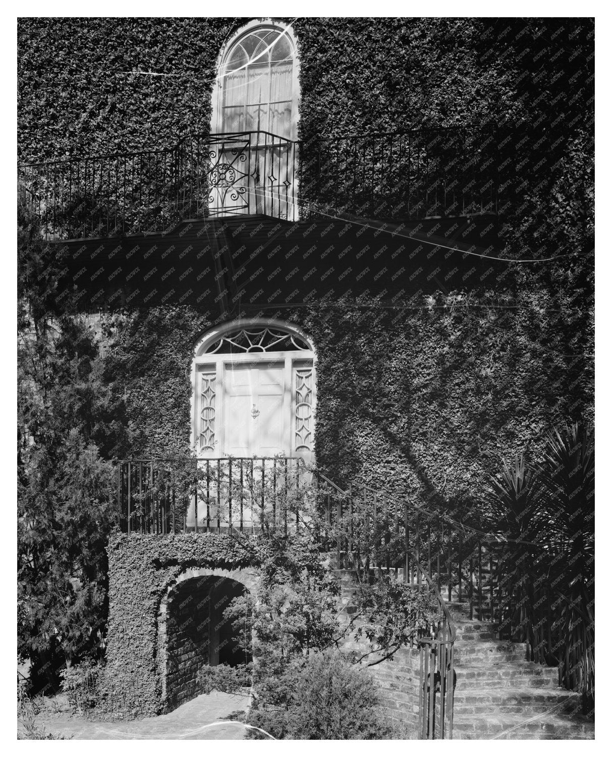 Charles Alston House, Charleston SC, 19th Century Photo