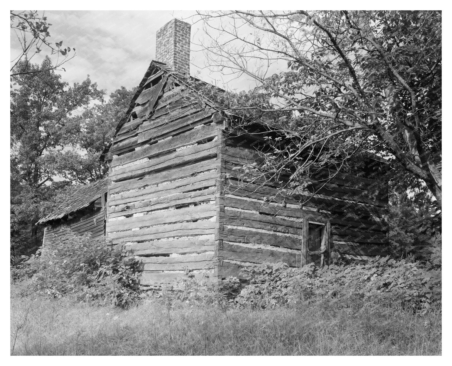 1726 Building in Charlotte, NC: Architectural Heritage