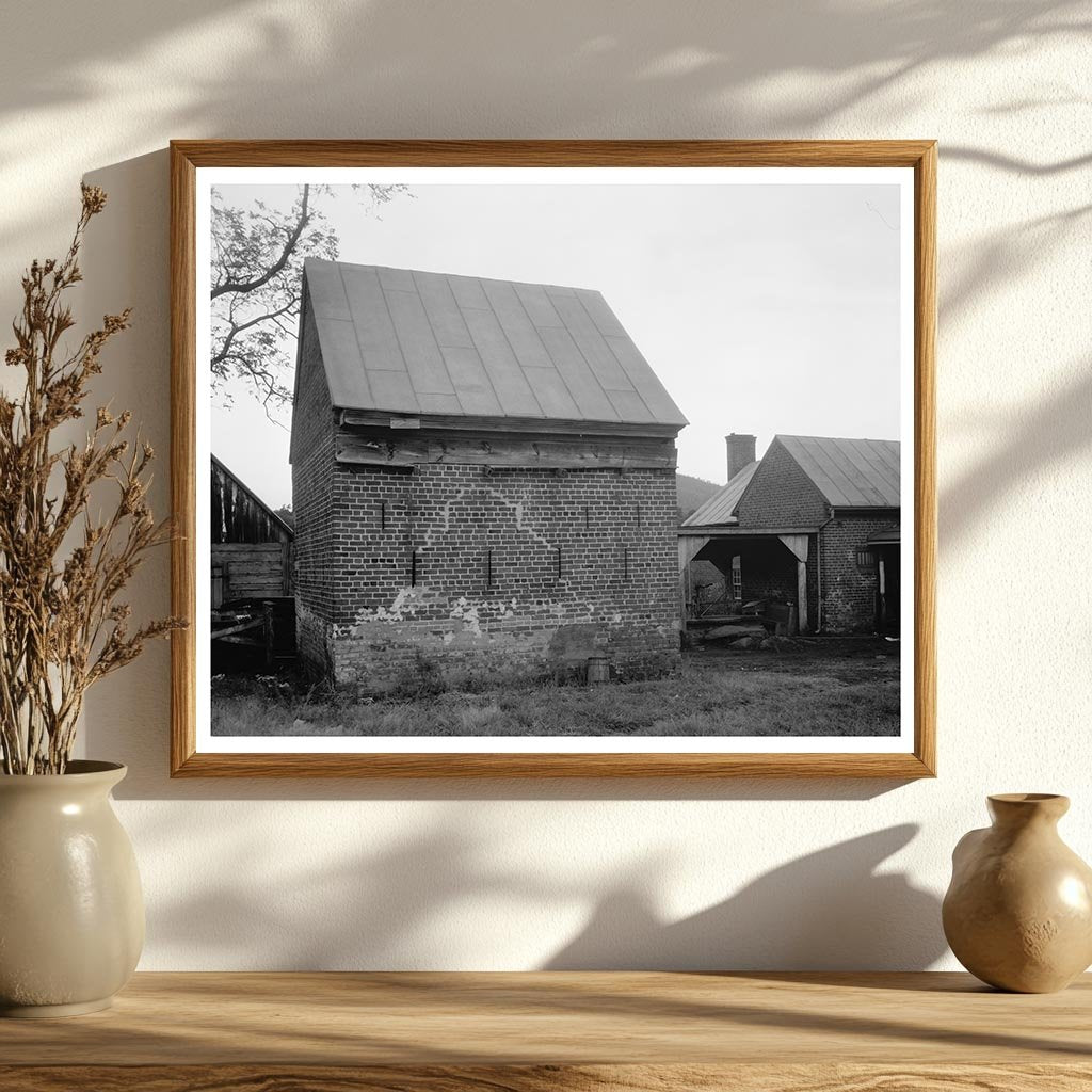 Browns Cove, Albemarle County, VA, Early 20th Century Photo