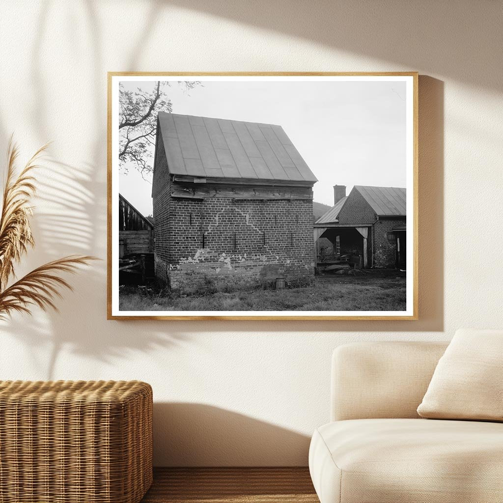 Browns Cove, Albemarle County, VA, Early 20th Century Photo