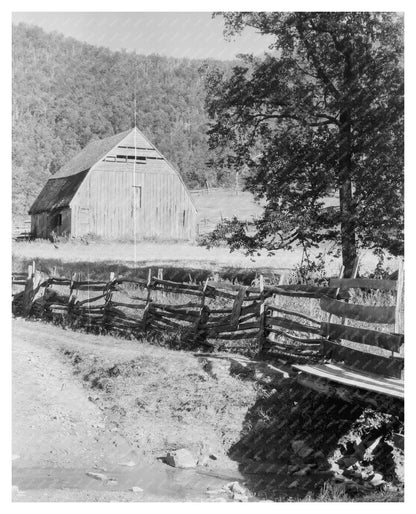 Browns Cove, Albemarle County, VA Vintage Photo, 20th Centur