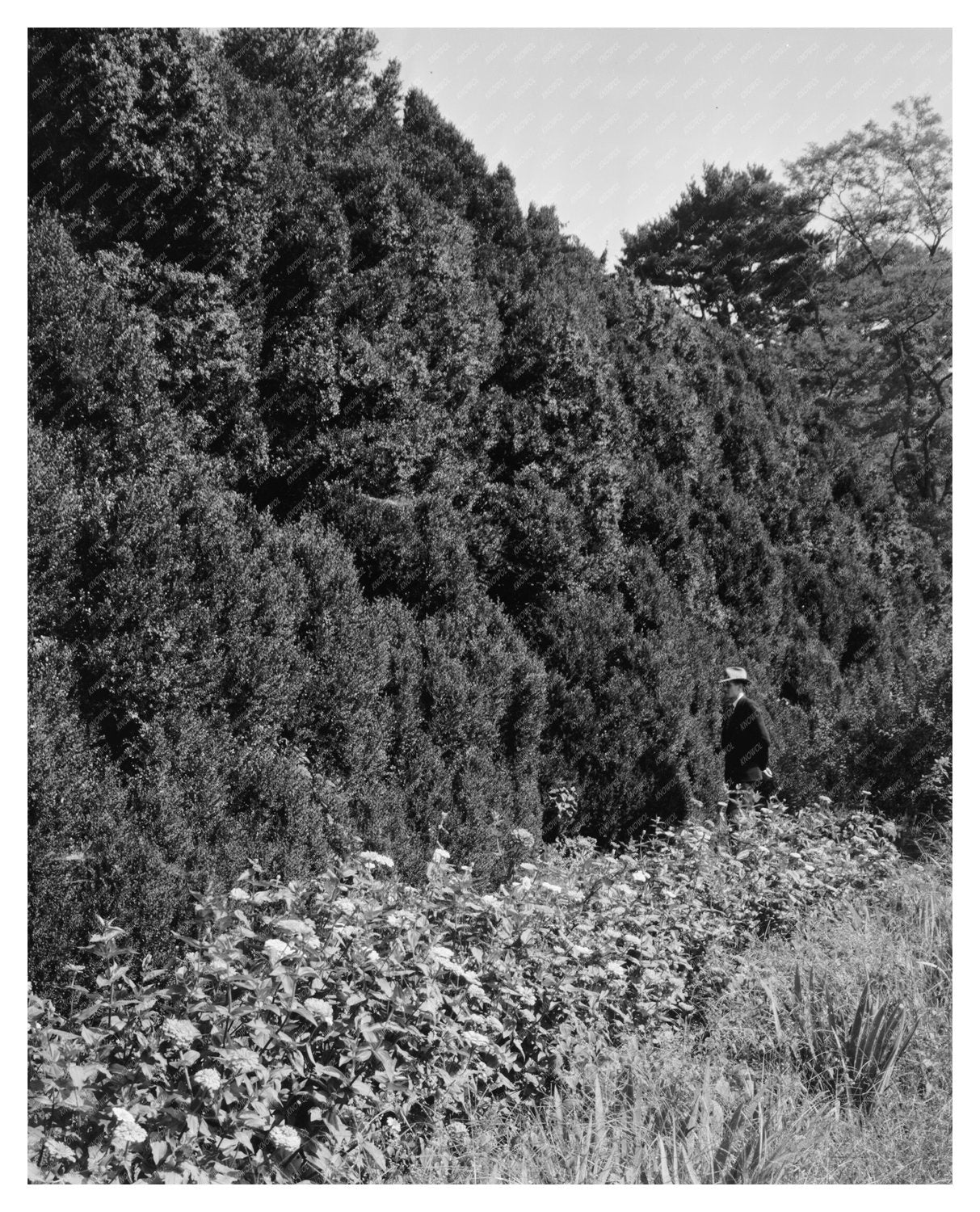 Historic Dr. Thomas Walker House, Charlottesville, VA 1764