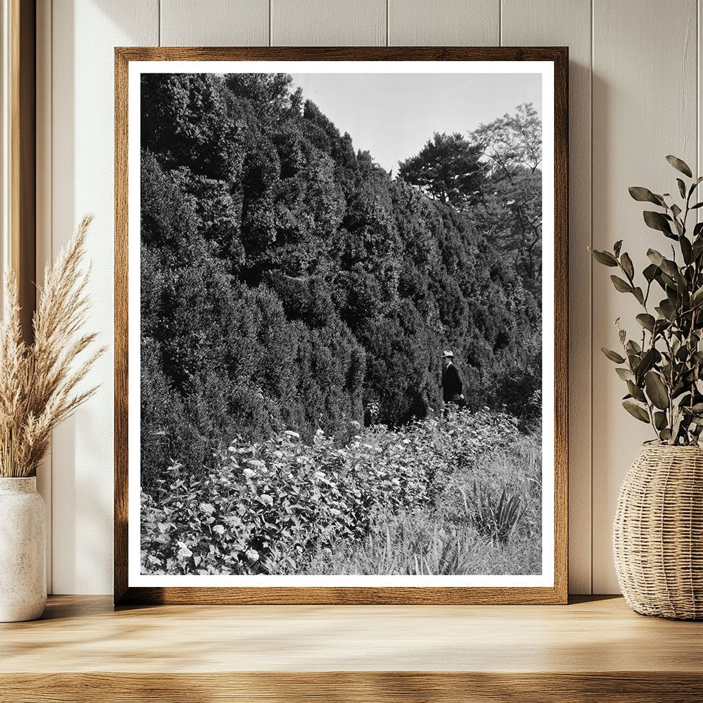 Historic Dr. Thomas Walker House, Charlottesville, VA 1764