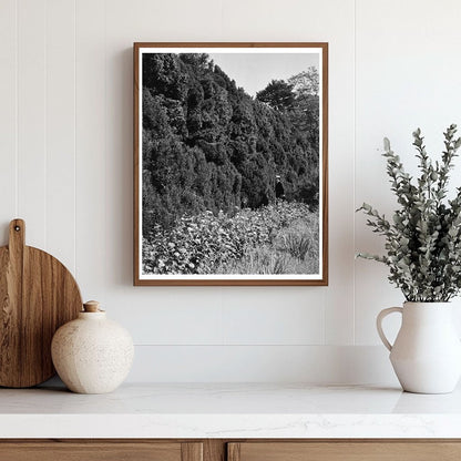 Historic Dr. Thomas Walker House, Charlottesville, VA 1764