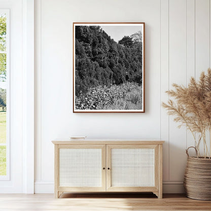 Historic Dr. Thomas Walker House, Charlottesville, VA 1764