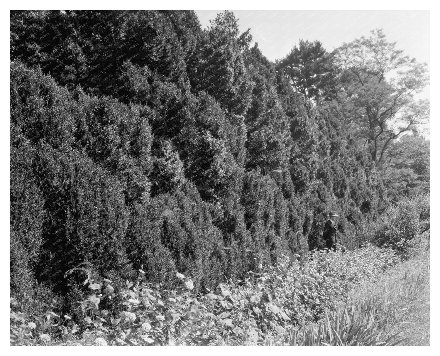 Charlottesville VA Historical Site Photo, 1764