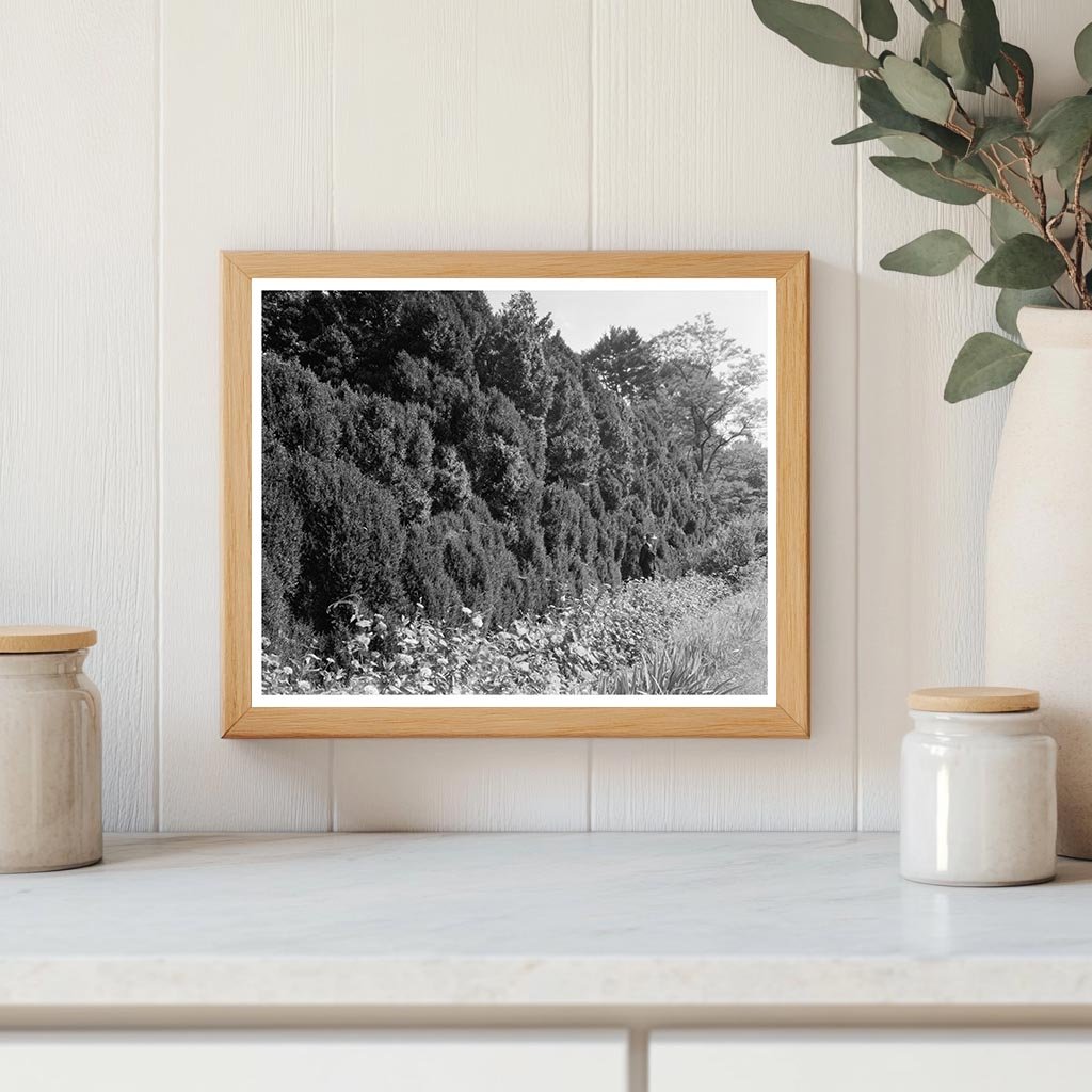 Charlottesville VA Historical Site Photo, 1764