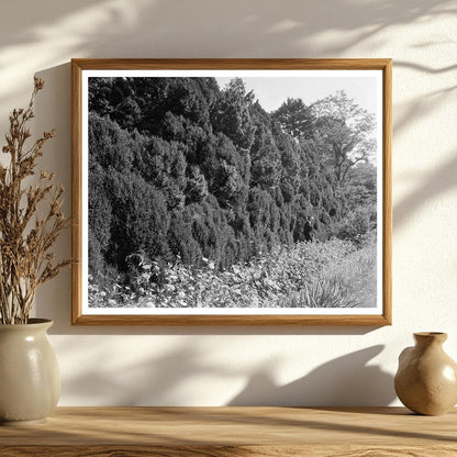 Charlottesville VA Historical Site Photo, 1764