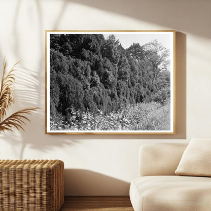 Charlottesville VA Historical Site Photo, 1764