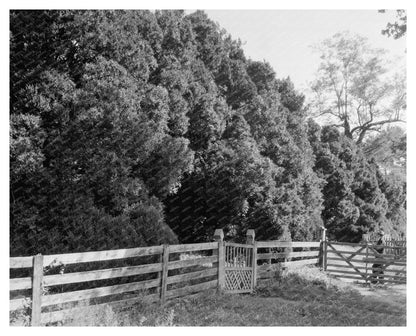Historic 1764 Building in Charlottesville, VA