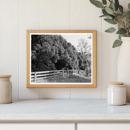 Historic 1764 Building in Charlottesville, VA