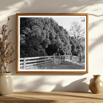 Historic 1764 Building in Charlottesville, VA