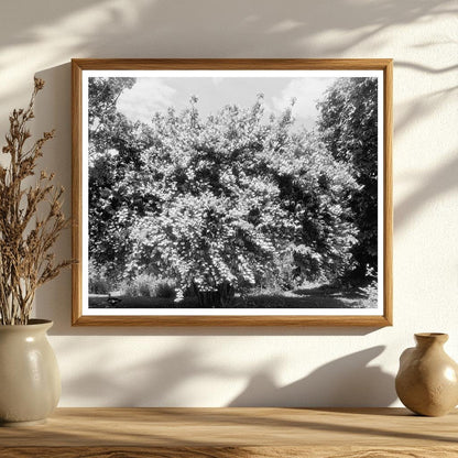 1850 Structure in Green Mountain, Virginia: Historical Insig