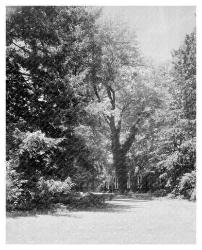 1850 Architecture of Green Mountain, VA Vintage Photo