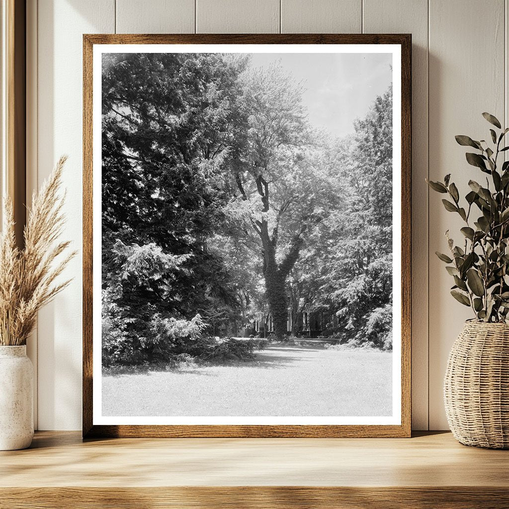 1850 Architecture of Green Mountain, VA Vintage Photo