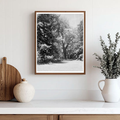 1850 Architecture of Green Mountain, VA Vintage Photo