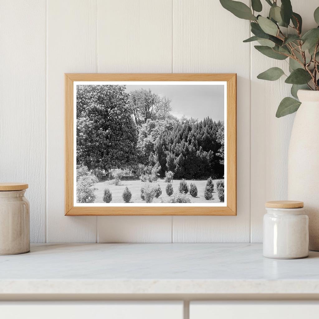 1850 Structure in Green Mountain, VA - Historical Photograph