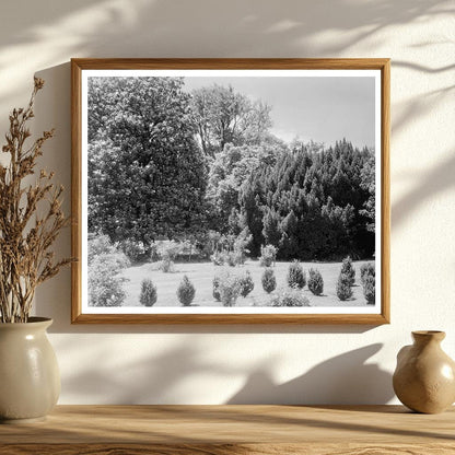 1850 Structure in Green Mountain, VA - Historical Photograph