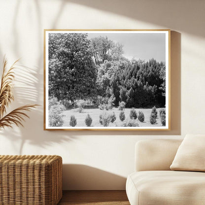 1850 Structure in Green Mountain, VA - Historical Photograph