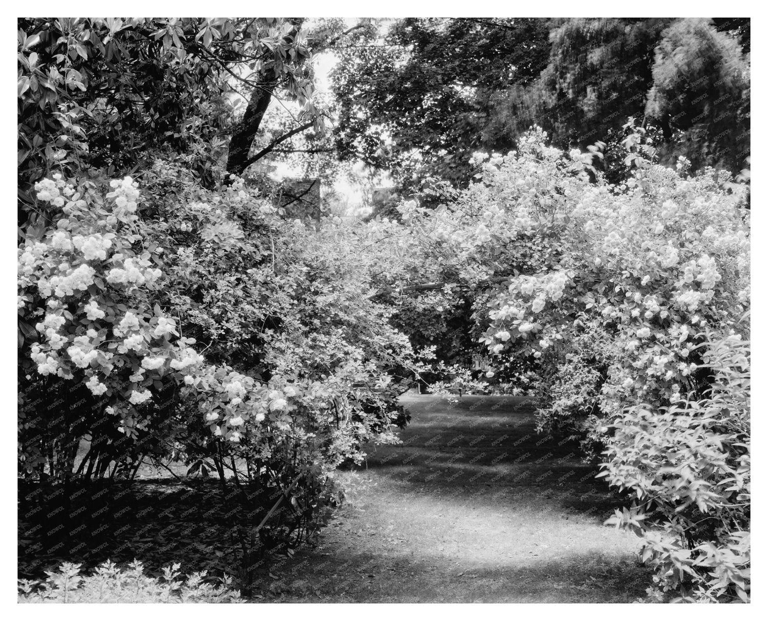 1953 Vintage Photo of Green Mountain, Virginia Heritage
