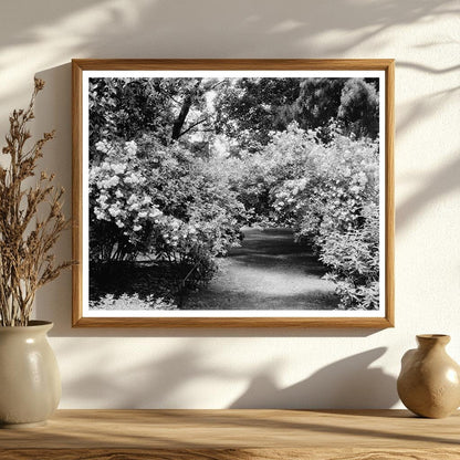 1953 Vintage Photo of Green Mountain, Virginia Heritage