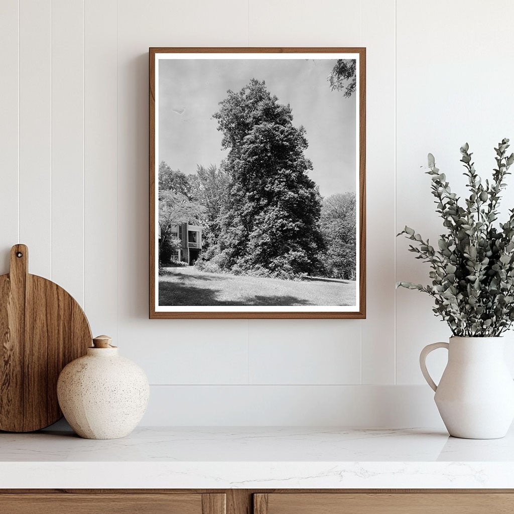 Albemarle County, VA Architecture, 1850 Historical Image