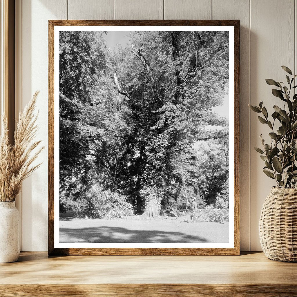 Green Mountain, VA Historic Structure Photo, 1850