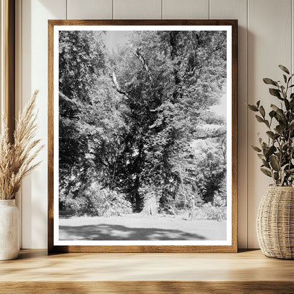 Green Mountain, VA Historic Structure Photo, 1850