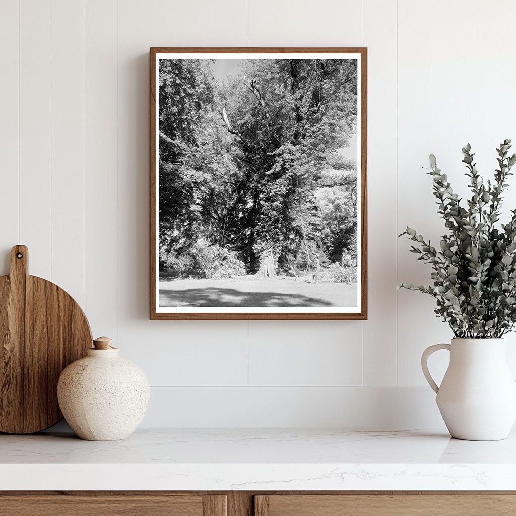 Green Mountain, VA Historic Structure Photo, 1850