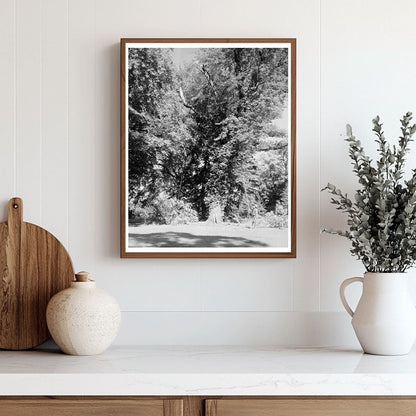 Green Mountain, VA Historic Structure Photo, 1850