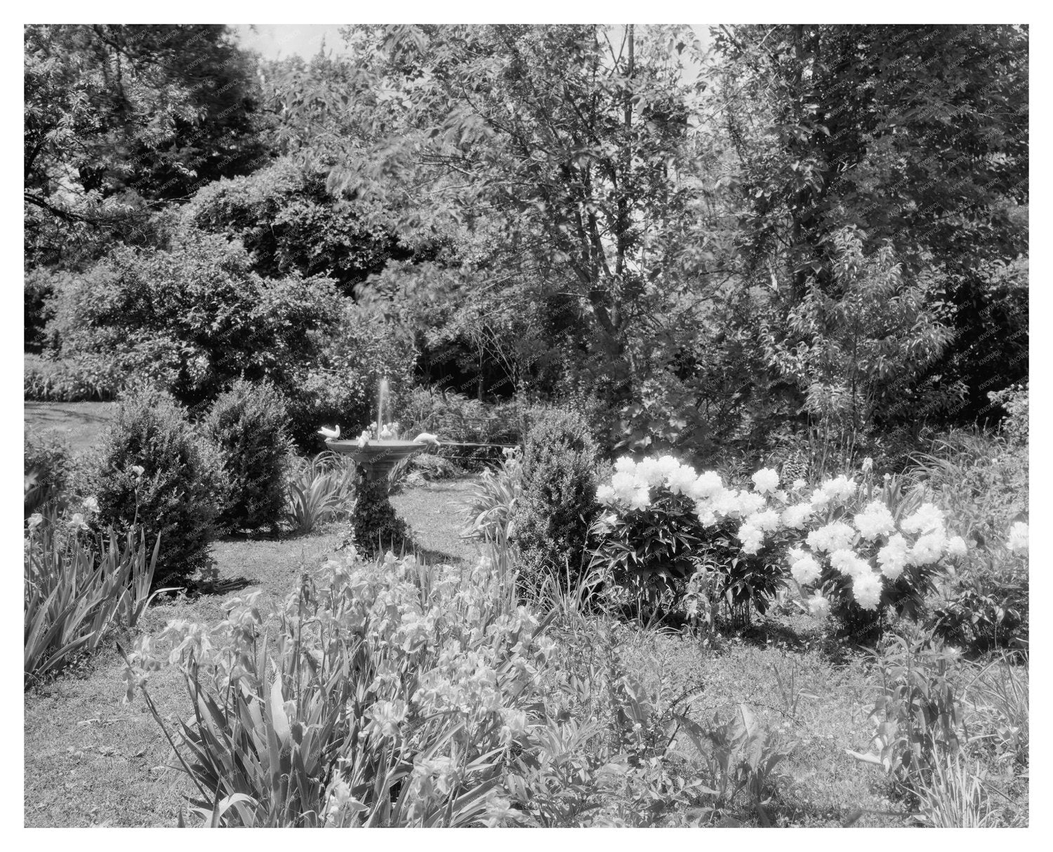 Green Mountain, VA Architecture, 1850 - Historical Image