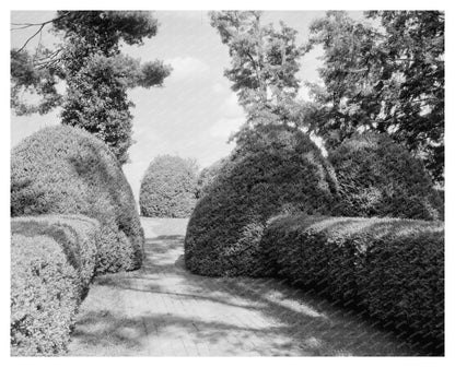 Charlottesville VA Vintage Garden Photo, Early 20th Century