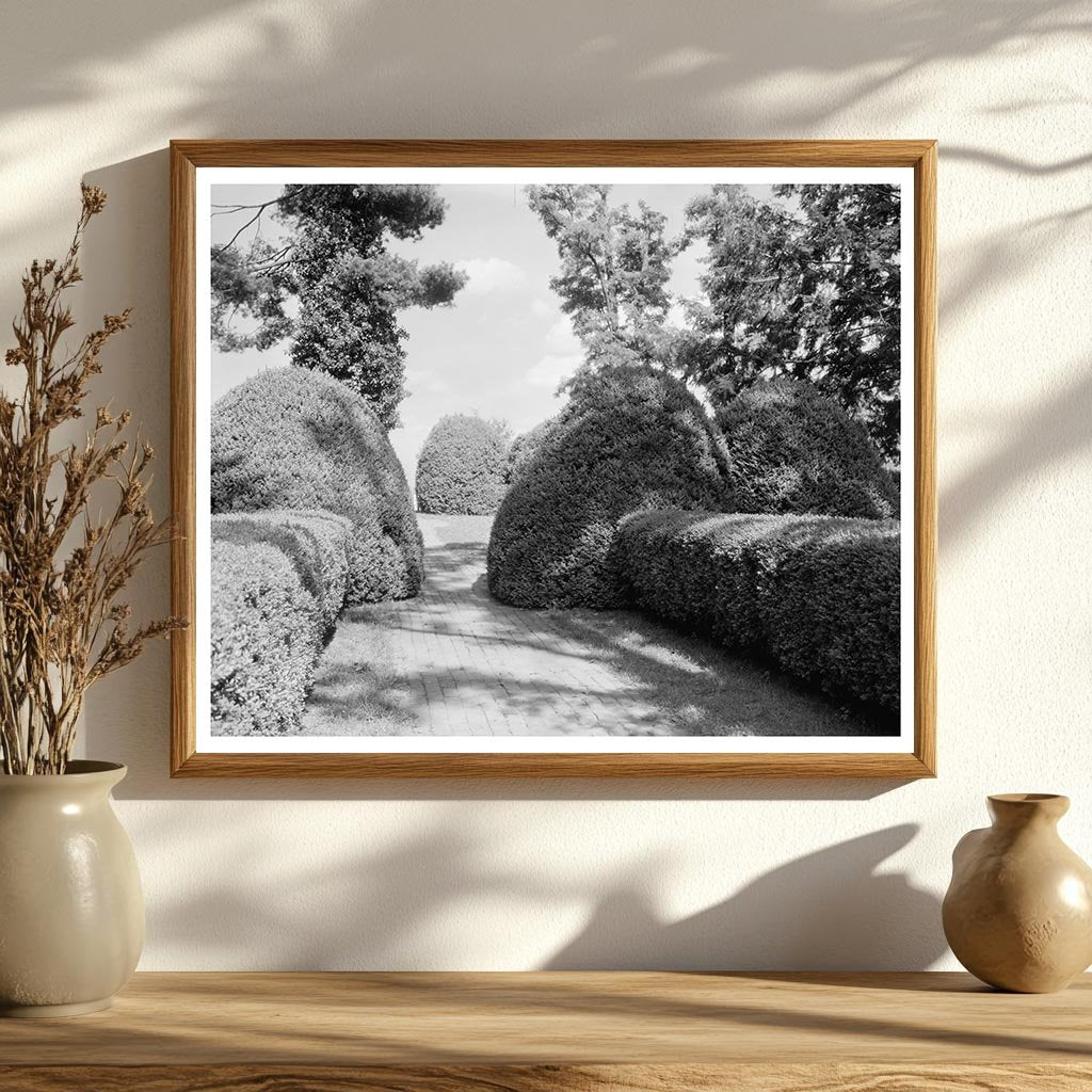 Charlottesville VA Vintage Garden Photo, Early 20th Century