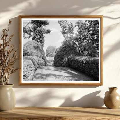 Charlottesville VA Vintage Garden Photo, Early 20th Century