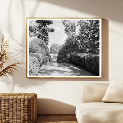 Charlottesville VA Vintage Garden Photo, Early 20th Century