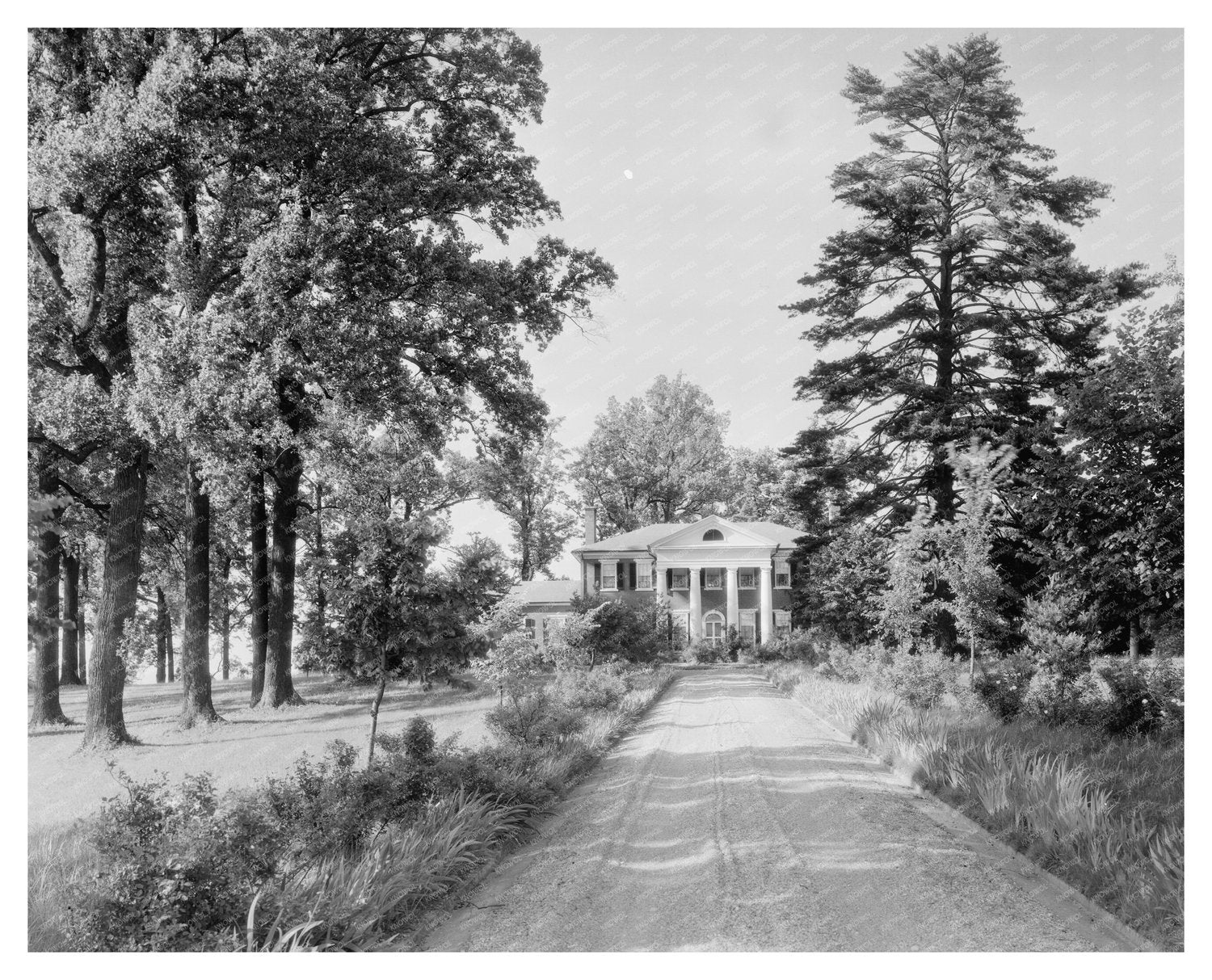 Calycanthus Hill, Green Mountain, VA - 1815 Estate Photo