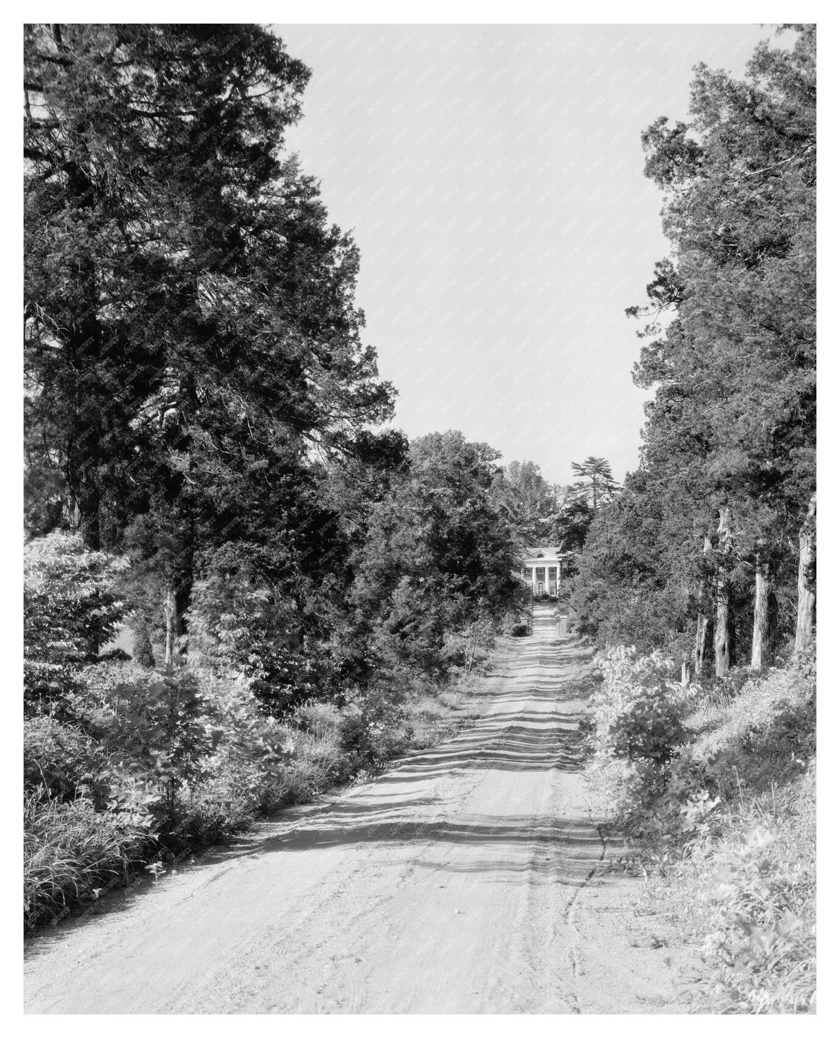 Calycanthus Hill Estate, Green Mountain, VA 1815 Photo