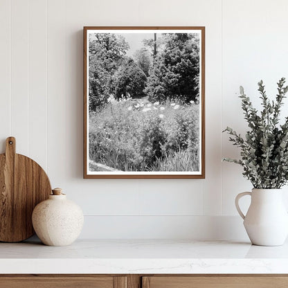 Calycanthus Hill Estate, Green Mountain, VA 1815