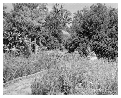 Calycanthus Hill, Green Mountain, VA 1800s Architecture