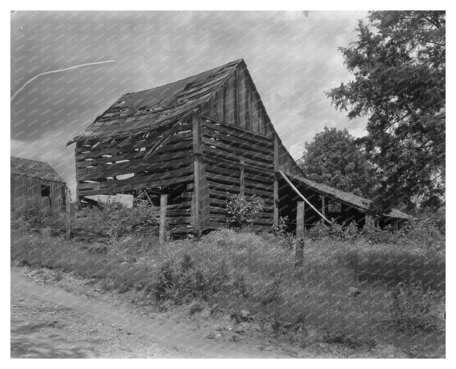 Albemarle County, VA Vintage Architecture Photo, Early 1900s