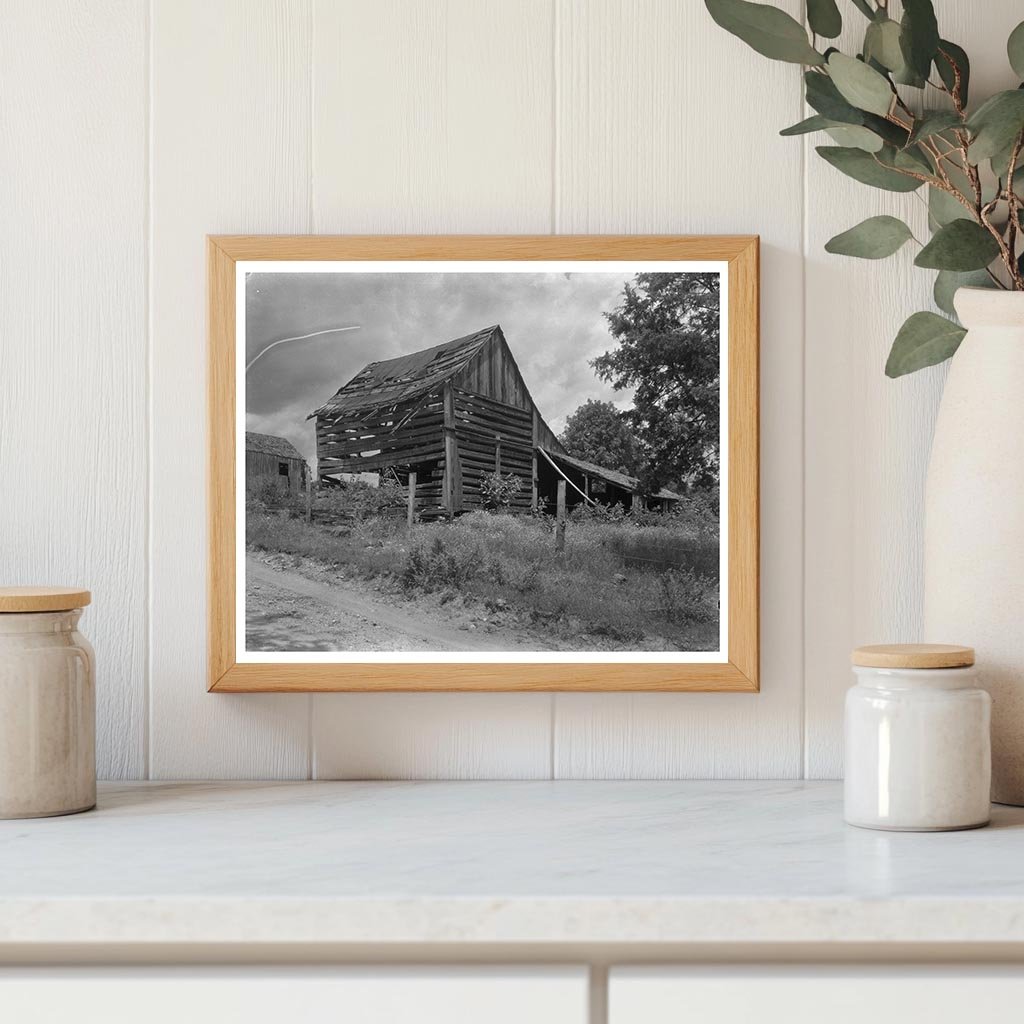 Albemarle County, VA Vintage Architecture Photo, Early 1900s