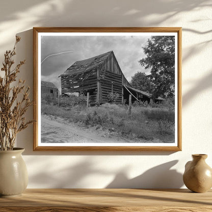 Albemarle County, VA Vintage Architecture Photo, Early 1900s