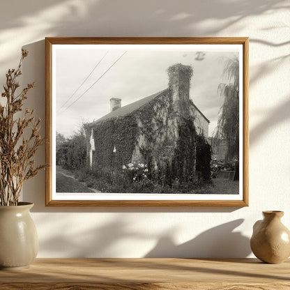 1825 Brick House in Charlottesville, VA - Historic Photo