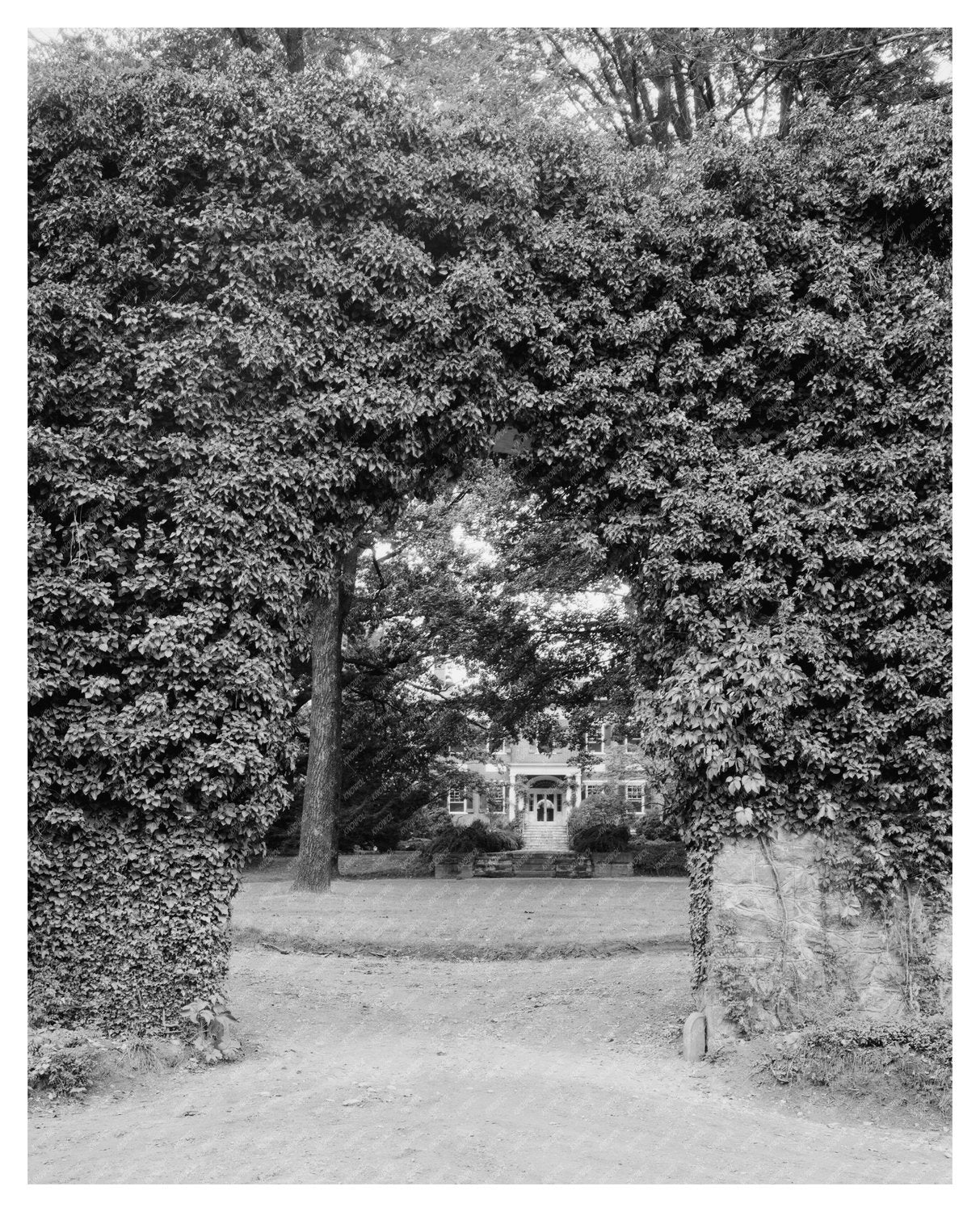 Langhorne Home Photo, Greenwood, VA, 20th Century