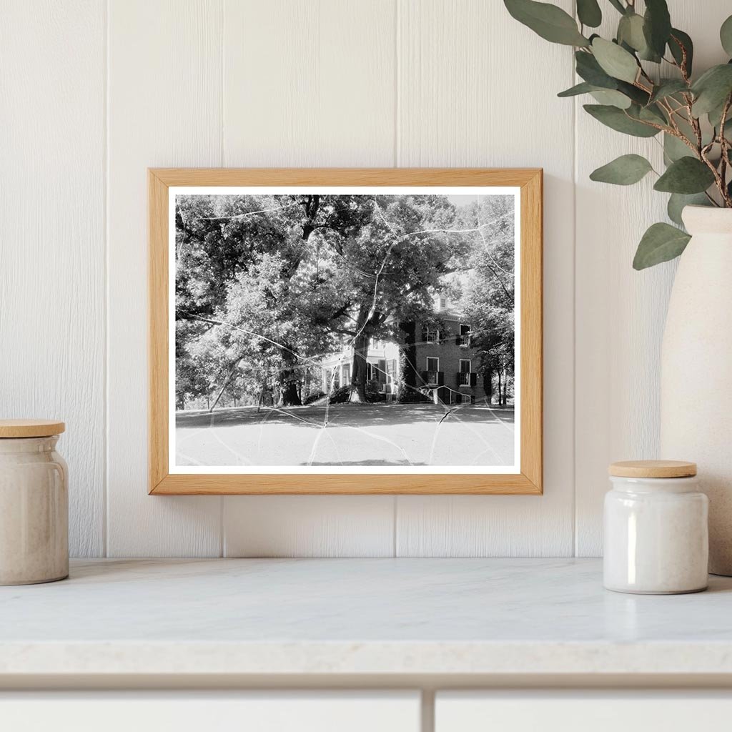 Carters Bridge, Albemarle County, VA, 1798 Photo History