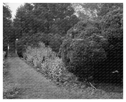 Carters Bridge, Albemarle VA, Historic Photo 1798