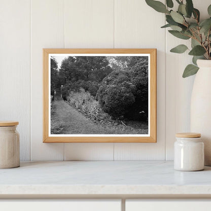 Carters Bridge, Albemarle VA, Historic Photo 1798