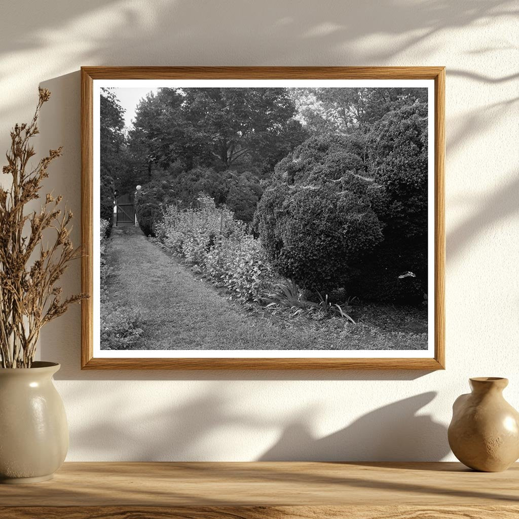 Carters Bridge, Albemarle VA, Historic Photo 1798